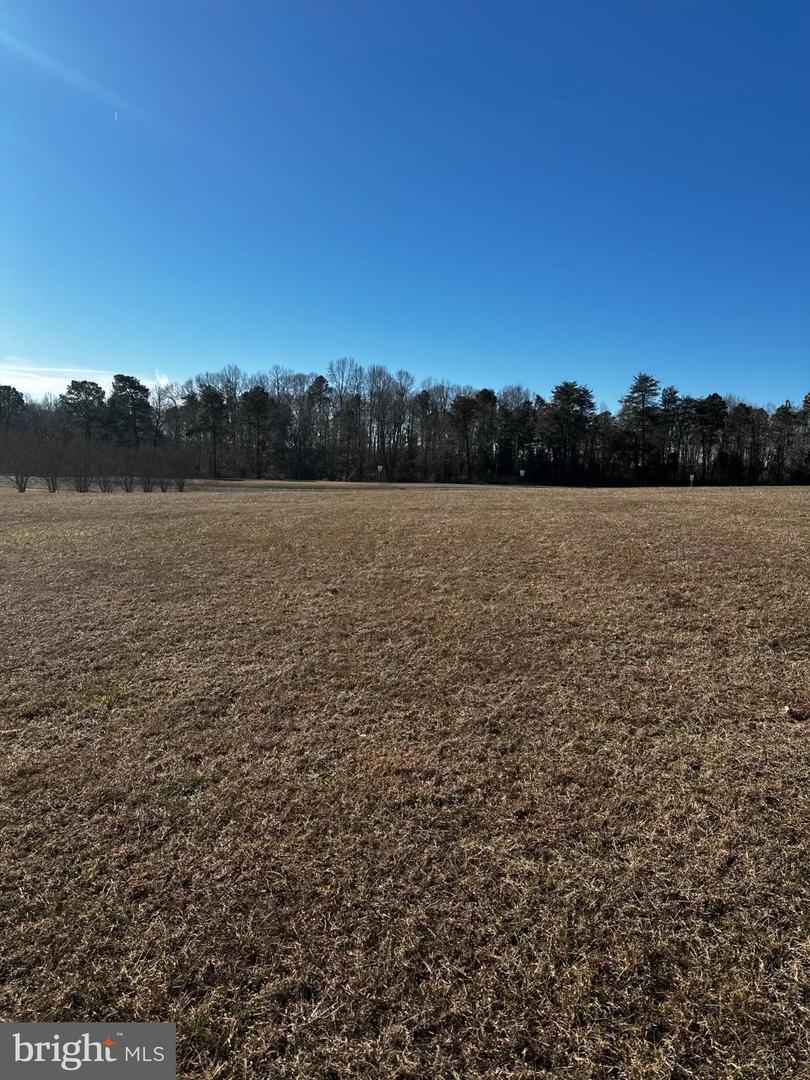 PORTOBAGO TRL LOT 3, PORT ROYAL, Virginia 22535, ,Land,For sale,PORTOBAGO TRL LOT 3,VACV2009432 MLS # VACV2009432