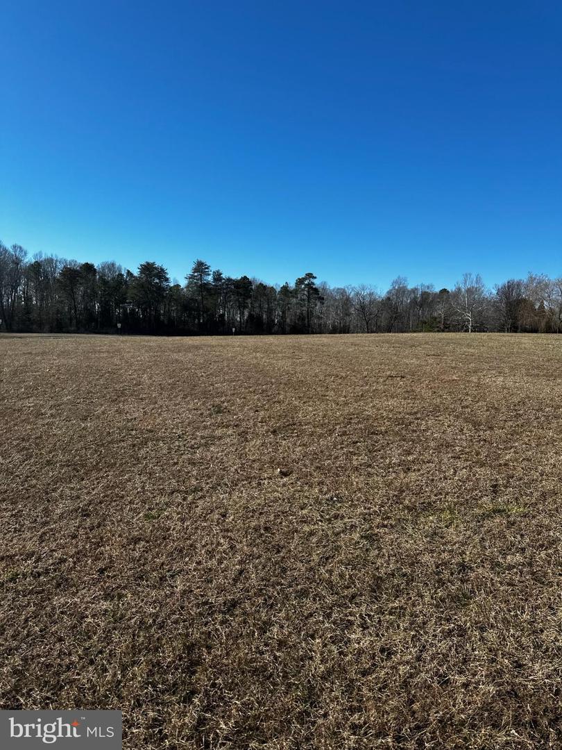 PORTOBAGO TRL LOT 3, PORT ROYAL, Virginia 22535, ,Land,For sale,PORTOBAGO TRL LOT 3,VACV2009432 MLS # VACV2009432