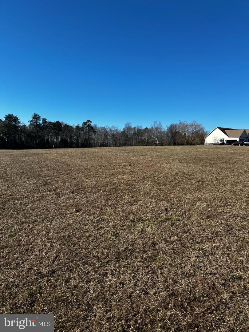 PORTOBAGO TRL LOT 3, PORT ROYAL, Virginia 22535, ,Land,For sale,PORTOBAGO TRL LOT 3,VACV2009432 MLS # VACV2009432