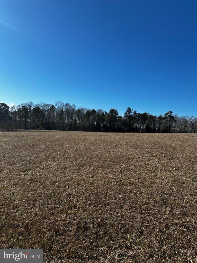 PORTOBAGO TRL LOT 3, PORT ROYAL, Virginia 22535, ,Land,For sale,PORTOBAGO TRL LOT 3,VACV2009432 MLS # VACV2009432