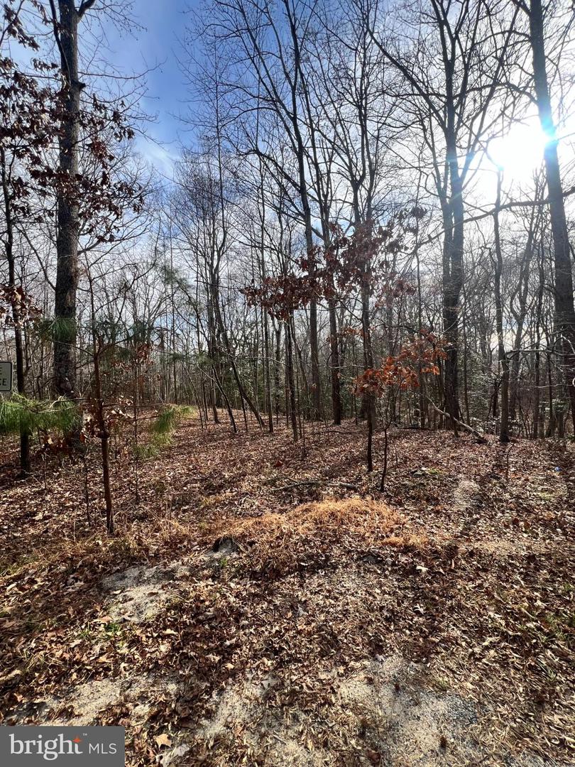 KINGS CT, MONTROSS, Virginia 22520, ,Land,For sale,KINGS CT,VAWE2010412 MLS # VAWE2010412