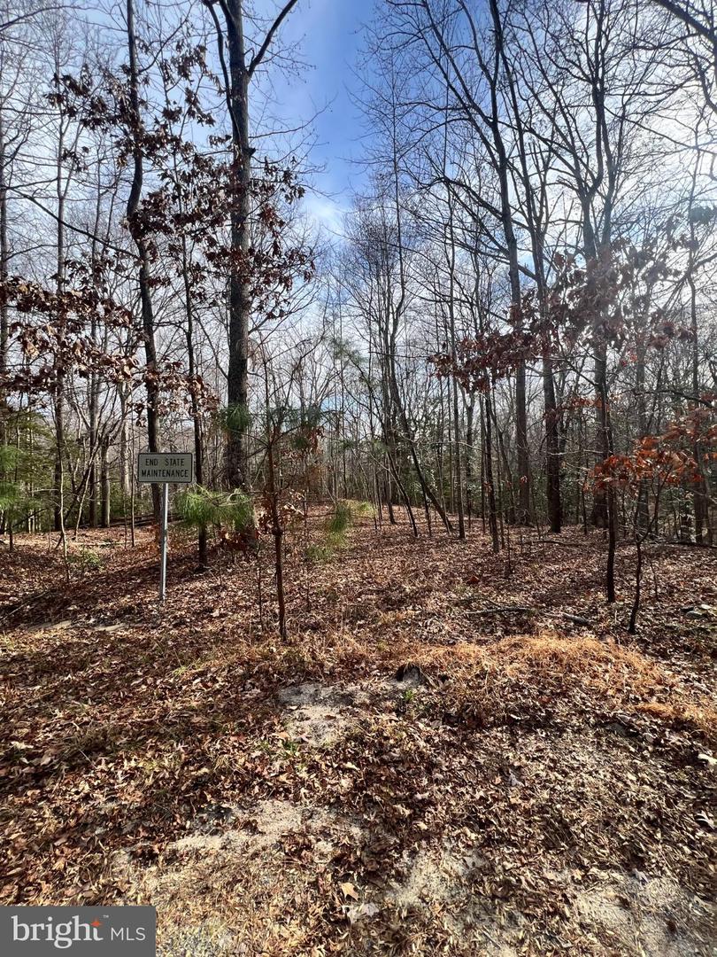 KINGS CT, MONTROSS, Virginia 22520, ,Land,For sale,KINGS CT,VAWE2010412 MLS # VAWE2010412