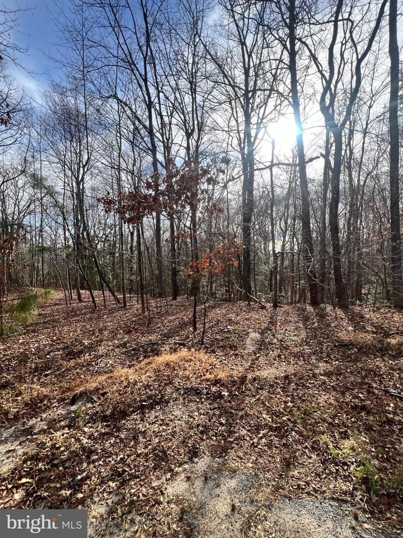 KINGS CT, MONTROSS, Virginia 22520, ,Land,For sale,KINGS CT,VAWE2010412 MLS # VAWE2010412