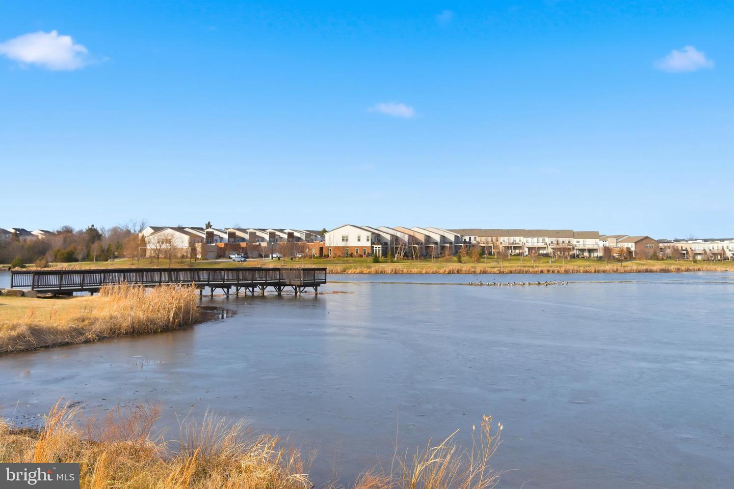 23669 GOLDEN EMBERS SQ #303, ASHBURN, Virginia 20148, 3 Bedrooms Bedrooms, ,2 BathroomsBathrooms,Residential,For sale,23669 GOLDEN EMBERS SQ #303,VALO2112344 MLS # VALO2112344