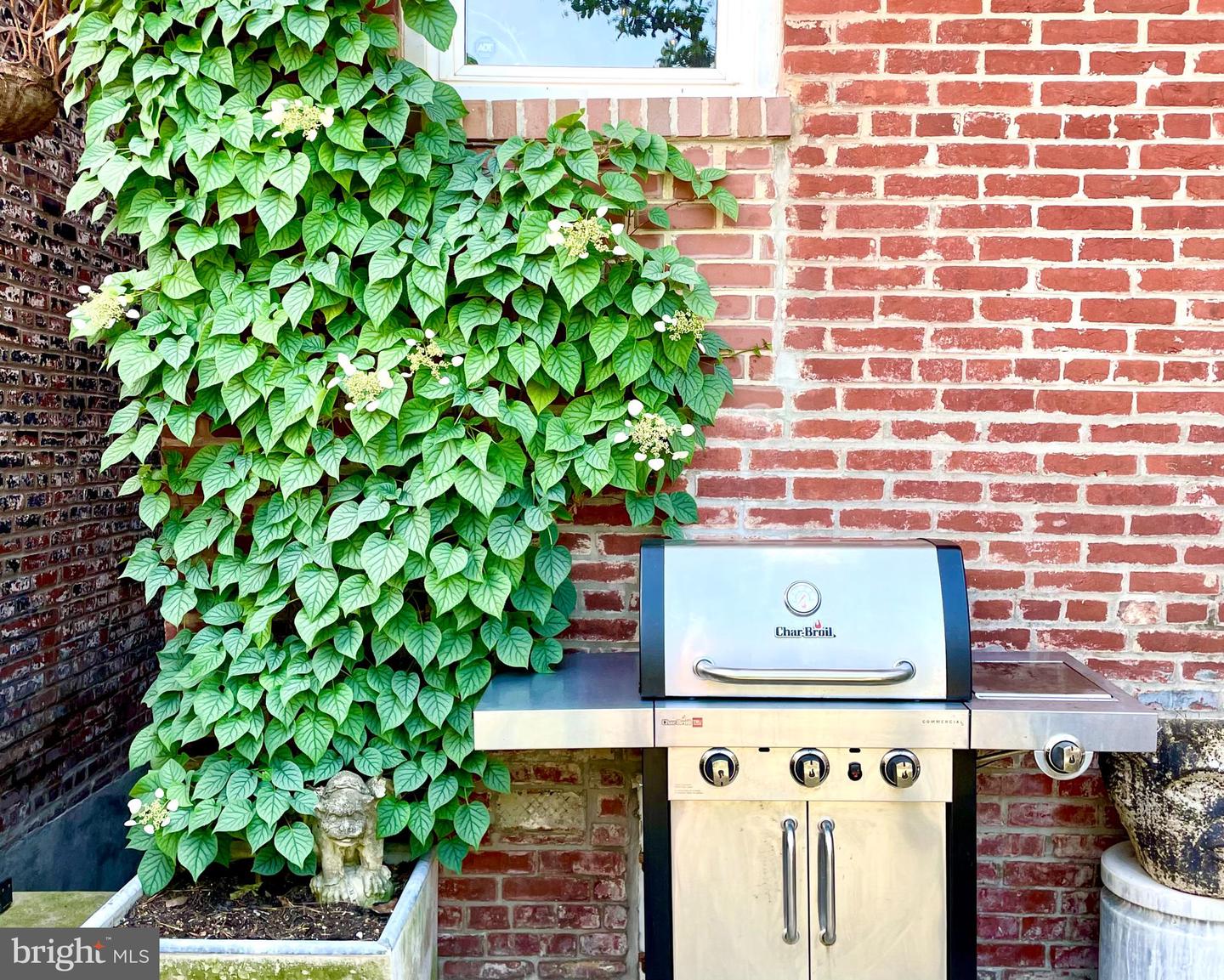 309 ELM ST NW, WASHINGTON, District Of Columbia 20001, 3 Bedrooms Bedrooms, ,1 BathroomBathrooms,Residential,For sale,309 ELM ST NW,DCDC2235054 MLS # DCDC2235054