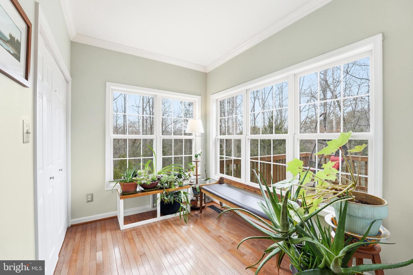 116 RIDING TRAIL, MADISON, Virginia 22727, 4 Bedrooms Bedrooms, ,3 BathroomsBathrooms,Residential,For sale,116 RIDING TRAIL,VAMA2002582 MLS # VAMA2002582