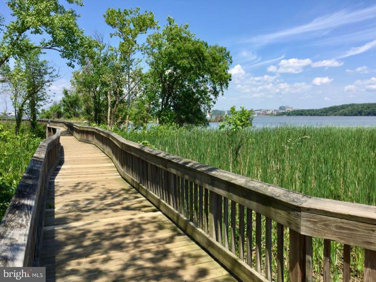 6609 POTOMAC AVE #B1, ALEXANDRIA, Virginia 22307, 2 Bedrooms Bedrooms, ,1 BathroomBathrooms,Residential,For sale,6609 POTOMAC AVE #B1,VAFX2285246 MLS # VAFX2285246