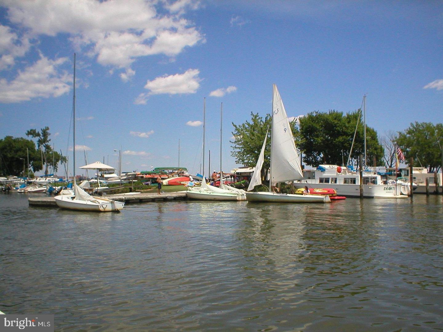 6609 POTOMAC AVE #B1, ALEXANDRIA, Virginia 22307, 2 Bedrooms Bedrooms, ,1 BathroomBathrooms,Residential,For sale,6609 POTOMAC AVE #B1,VAFX2285246 MLS # VAFX2285246