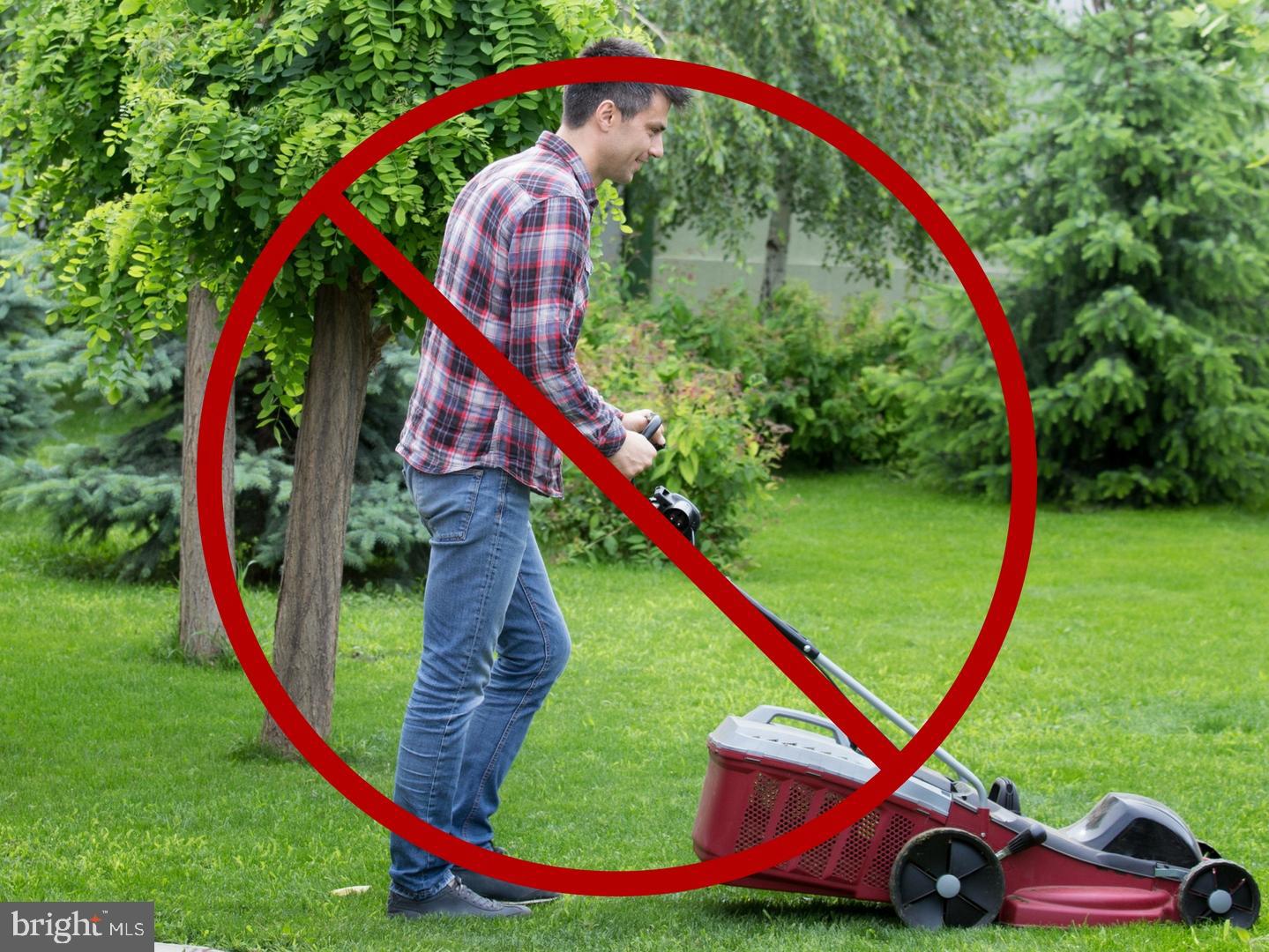 19812 ROTHSCHILD CT, ASHBURN, Virginia 20147, 6 Bedrooms Bedrooms, ,6 BathroomsBathrooms,Residential,For sale,19812 ROTHSCHILD CT,VALO2114308 MLS # VALO2114308