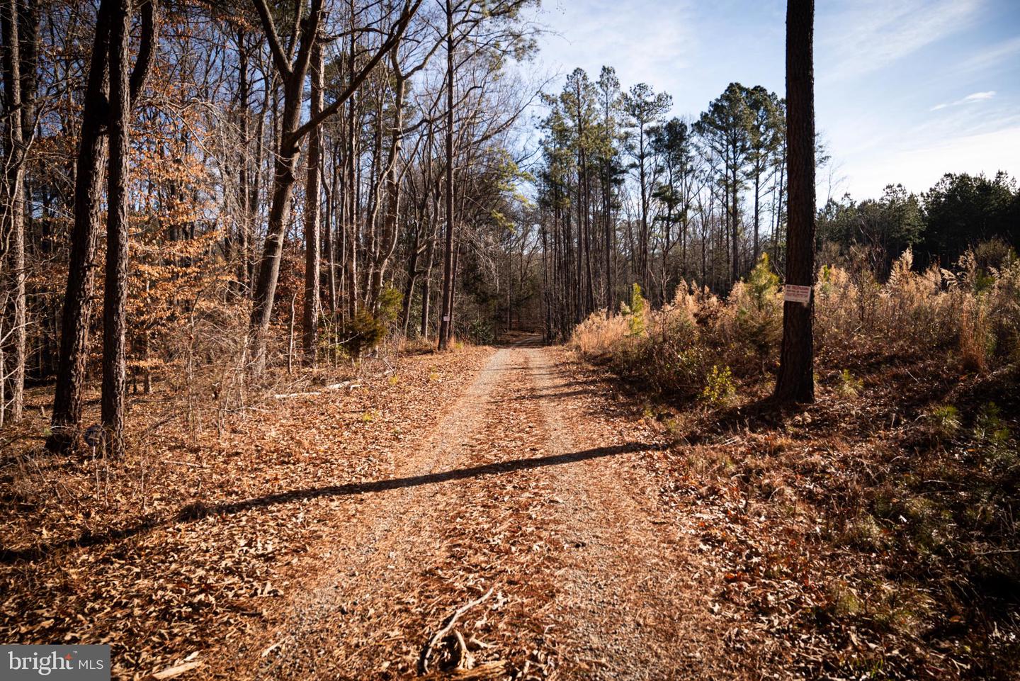 1052 S HILL RD, BRODNAX, Virginia 23920, 3 Bedrooms Bedrooms, 5 Rooms Rooms,2 BathroomsBathrooms,Residential,For sale,1052 S HILL RD,VALB2000070 MLS # VALB2000070