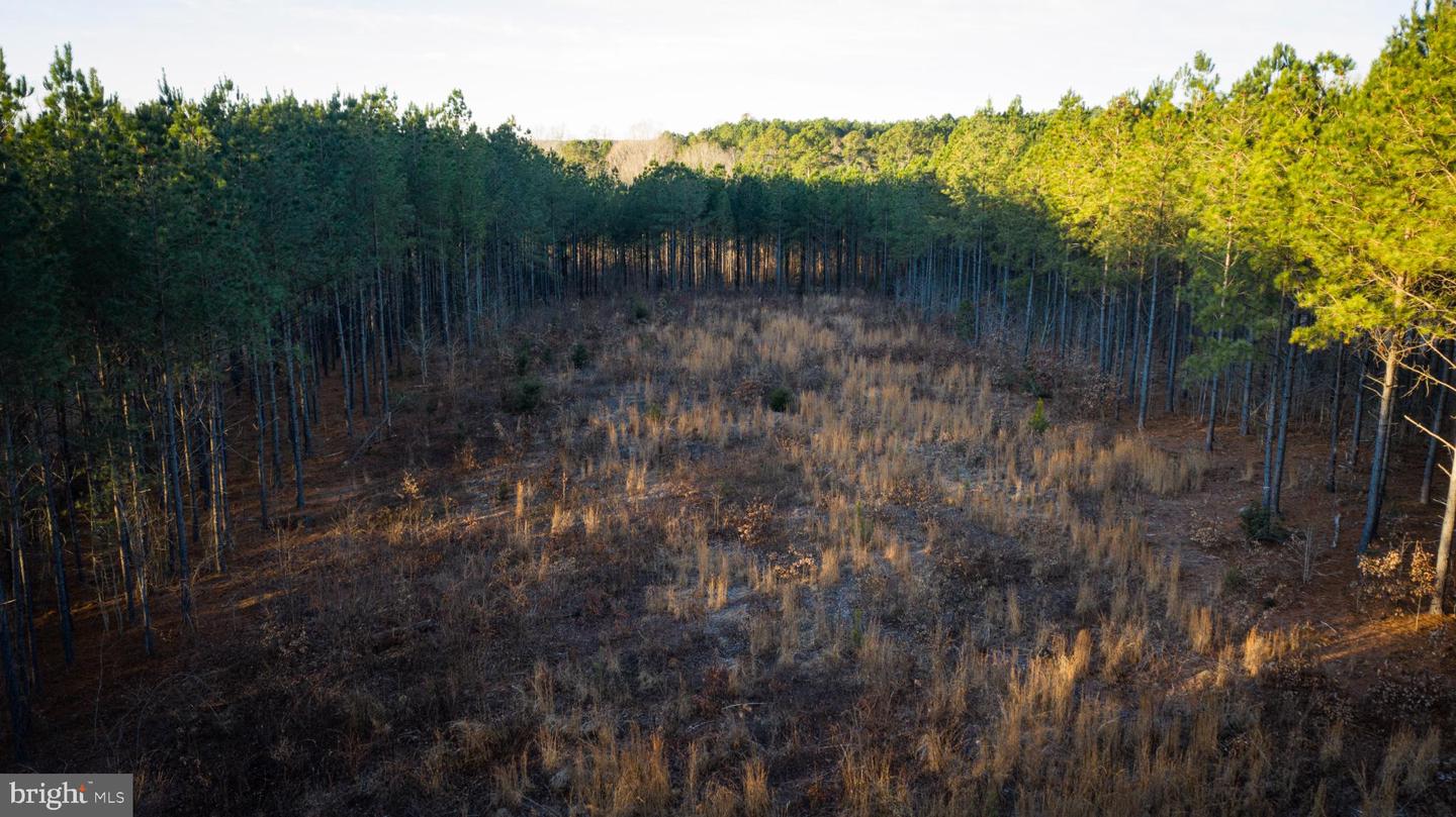 1052 S HILL RD, BRODNAX, Virginia 23920, 3 Bedrooms Bedrooms, 5 Rooms Rooms,2 BathroomsBathrooms,Residential,For sale,1052 S HILL RD,VALB2000070 MLS # VALB2000070