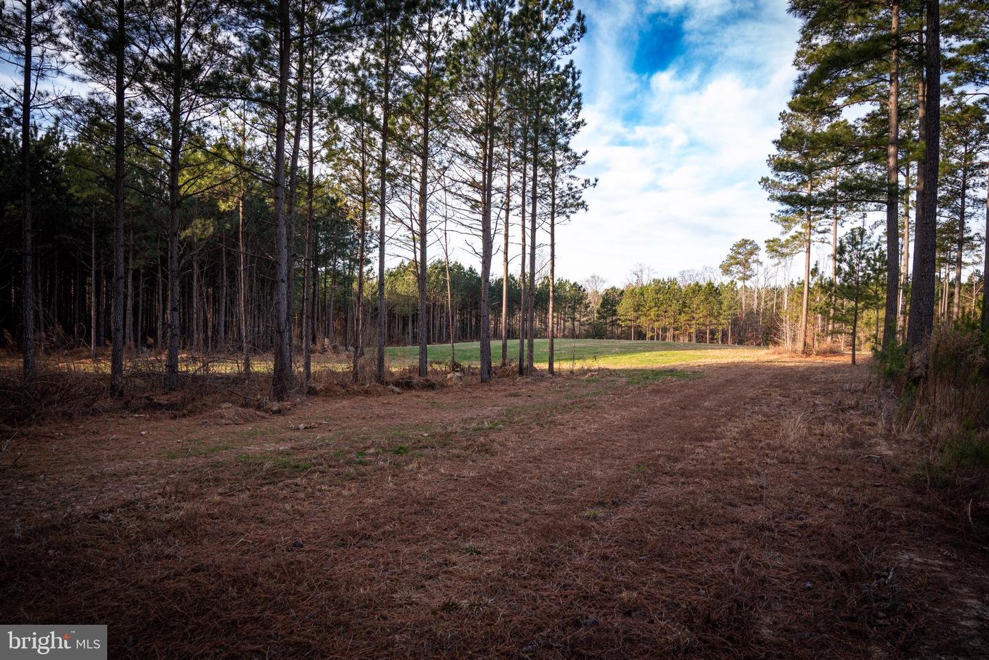 1052 S HILL RD, BRODNAX, Virginia 23920, 3 Bedrooms Bedrooms, 5 Rooms Rooms,2 BathroomsBathrooms,Residential,For sale,1052 S HILL RD,VALB2000070 MLS # VALB2000070