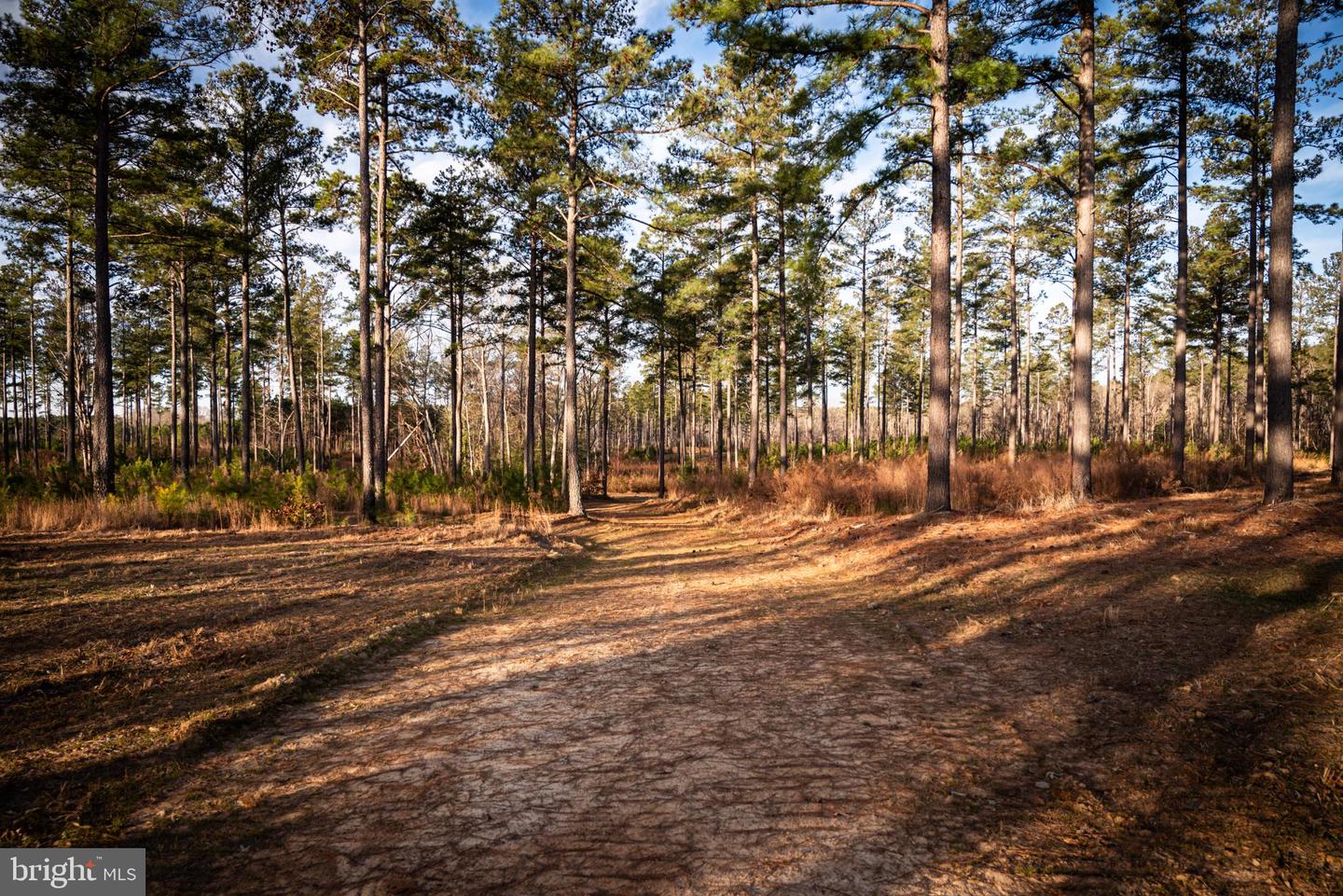 1052 S HILL RD, BRODNAX, Virginia 23920, 3 Bedrooms Bedrooms, 5 Rooms Rooms,2 BathroomsBathrooms,Residential,For sale,1052 S HILL RD,VALB2000070 MLS # VALB2000070