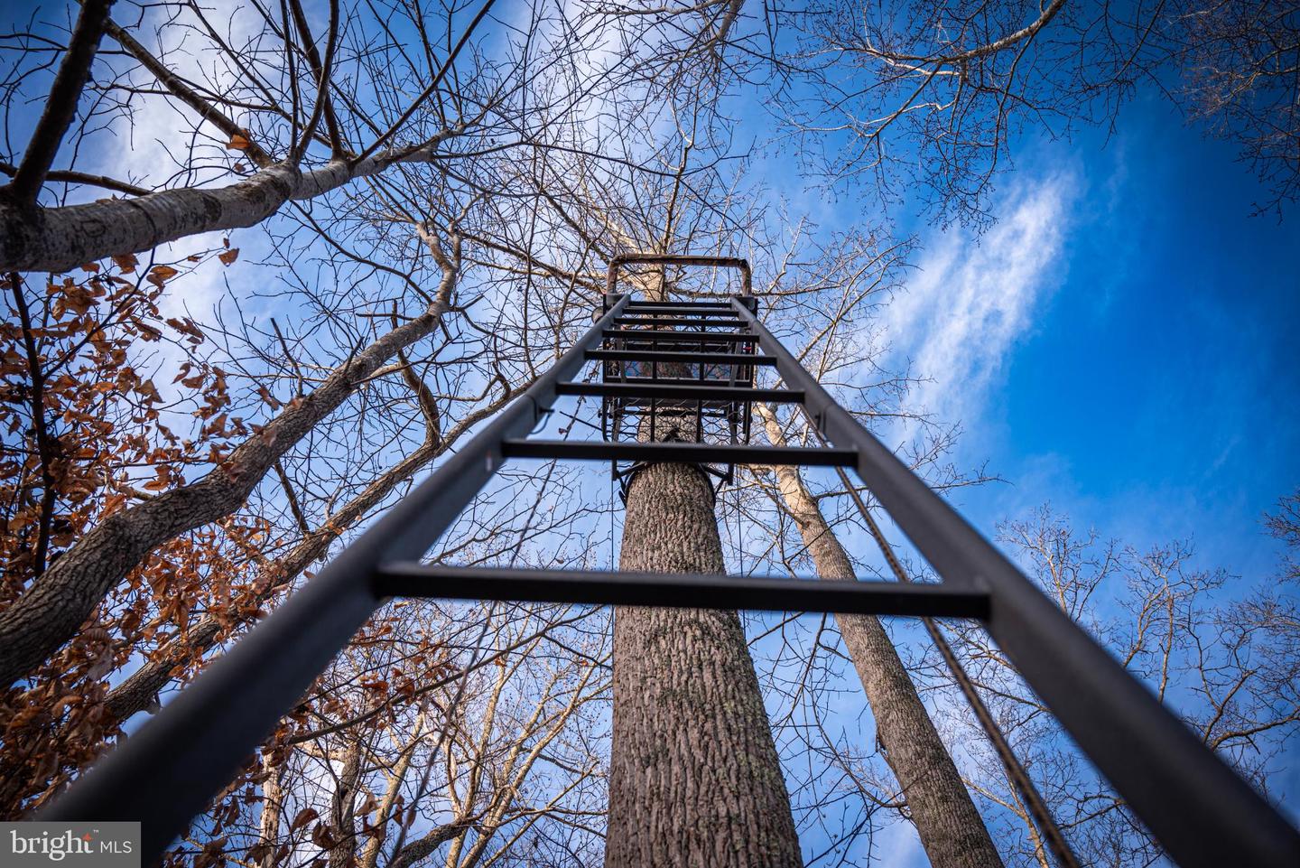 1052 S HILL RD, BRODNAX, Virginia 23920, 3 Bedrooms Bedrooms, 5 Rooms Rooms,2 BathroomsBathrooms,Residential,For sale,1052 S HILL RD,VALB2000070 MLS # VALB2000070