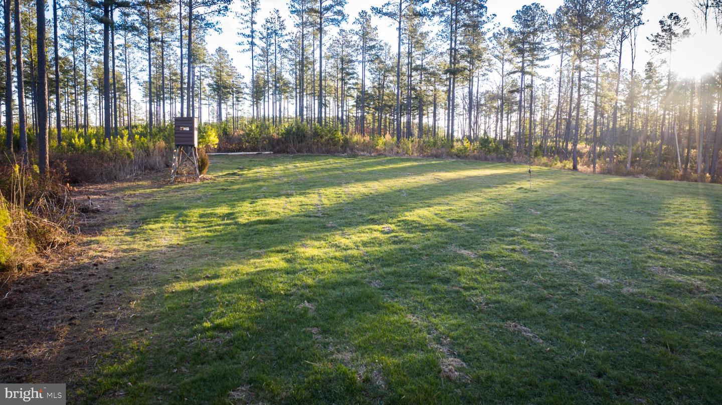 1052 S HILL RD, BRODNAX, Virginia 23920, 3 Bedrooms Bedrooms, 5 Rooms Rooms,2 BathroomsBathrooms,Residential,For sale,1052 S HILL RD,VALB2000070 MLS # VALB2000070