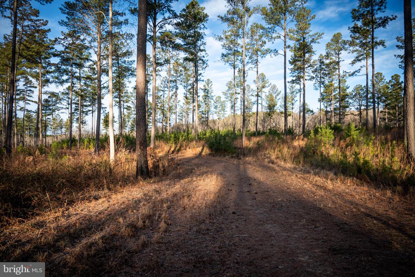 1052 S HILL RD, BRODNAX, Virginia 23920, 3 Bedrooms Bedrooms, 5 Rooms Rooms,2 BathroomsBathrooms,Residential,For sale,1052 S HILL RD,VALB2000070 MLS # VALB2000070