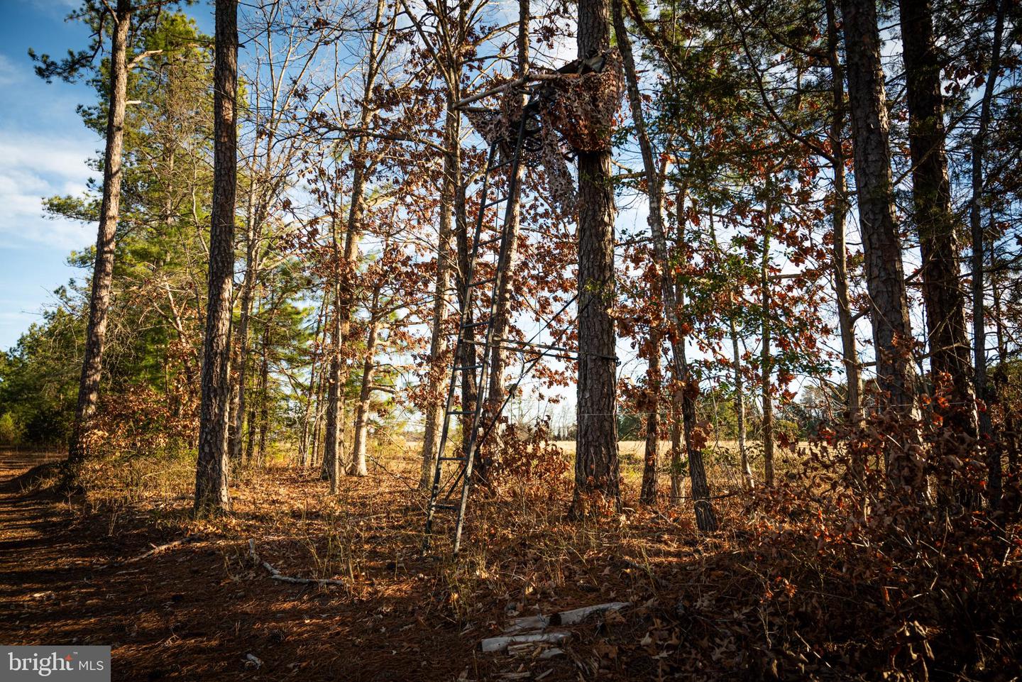 1052 S HILL RD, BRODNAX, Virginia 23920, 3 Bedrooms Bedrooms, 5 Rooms Rooms,2 BathroomsBathrooms,Residential,For sale,1052 S HILL RD,VALB2000070 MLS # VALB2000070