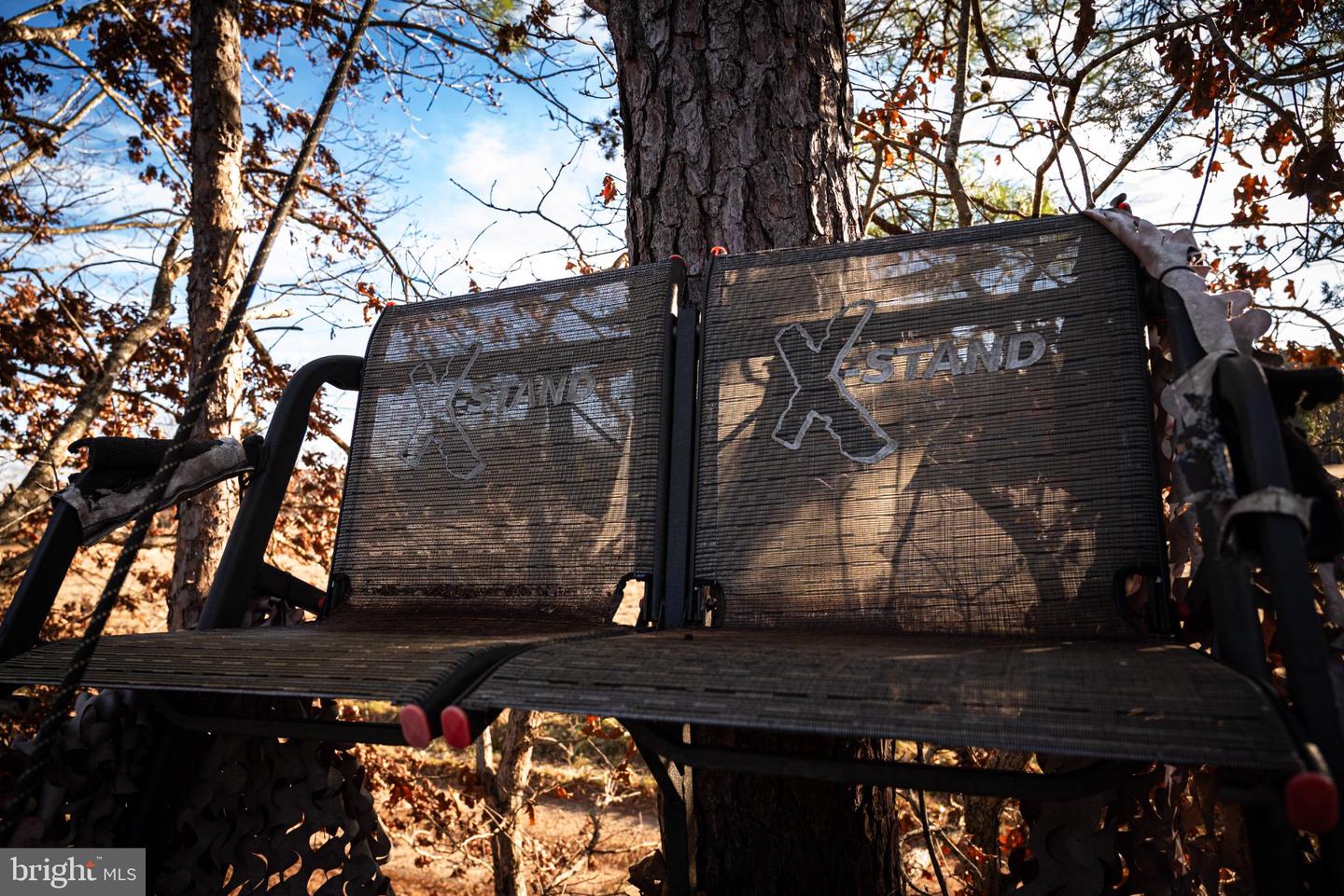 1052 S HILL RD, BRODNAX, Virginia 23920, 3 Bedrooms Bedrooms, 5 Rooms Rooms,2 BathroomsBathrooms,Residential,For sale,1052 S HILL RD,VALB2000070 MLS # VALB2000070