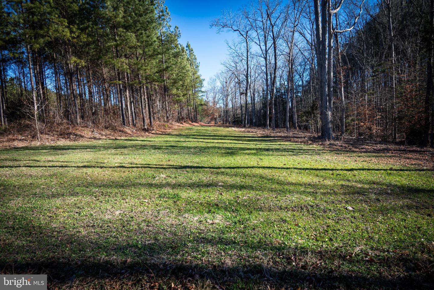 1052 S HILL RD, BRODNAX, Virginia 23920, 3 Bedrooms Bedrooms, 5 Rooms Rooms,2 BathroomsBathrooms,Residential,For sale,1052 S HILL RD,VALB2000070 MLS # VALB2000070