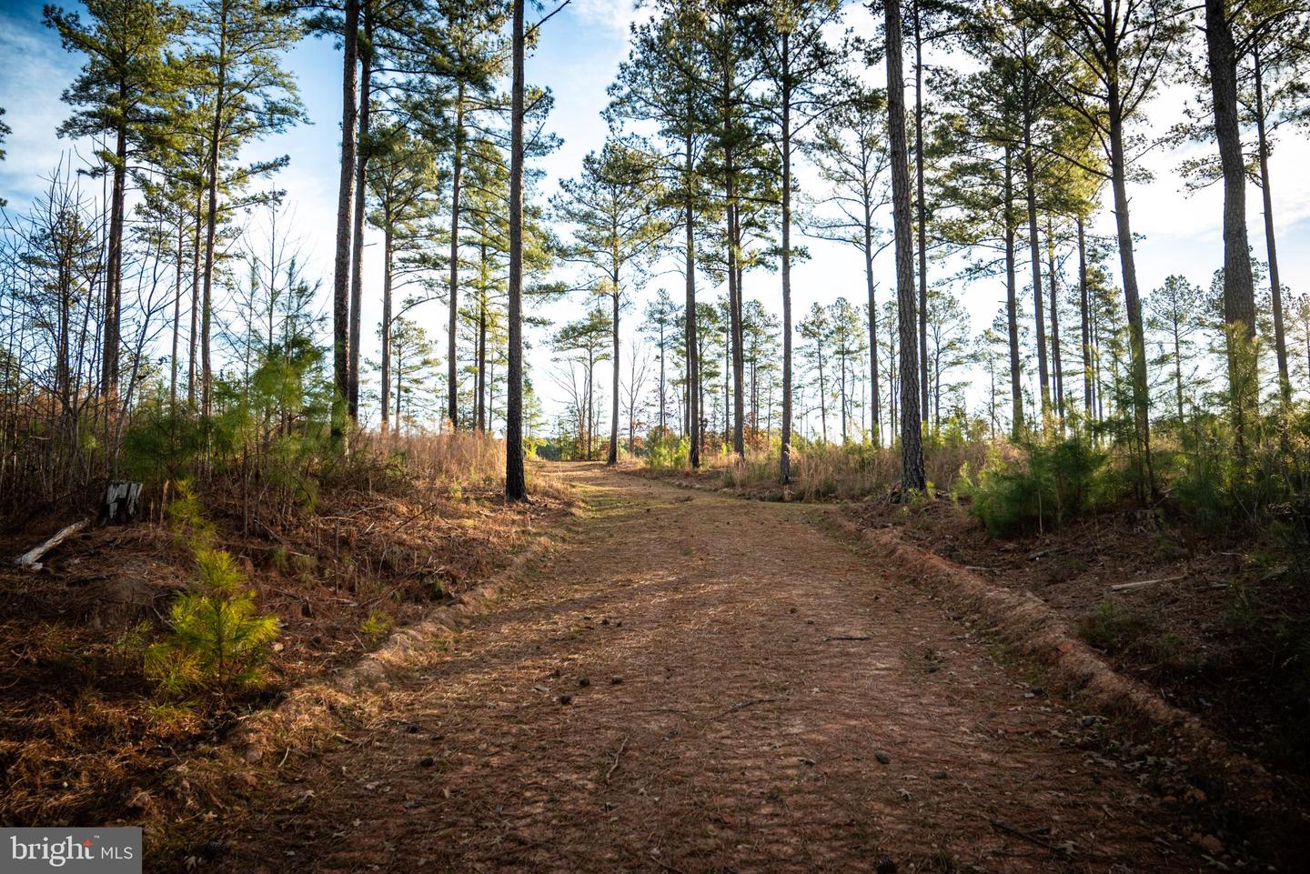 1052 S HILL RD, BRODNAX, Virginia 23920, 3 Bedrooms Bedrooms, 5 Rooms Rooms,2 BathroomsBathrooms,Residential,For sale,1052 S HILL RD,VALB2000070 MLS # VALB2000070