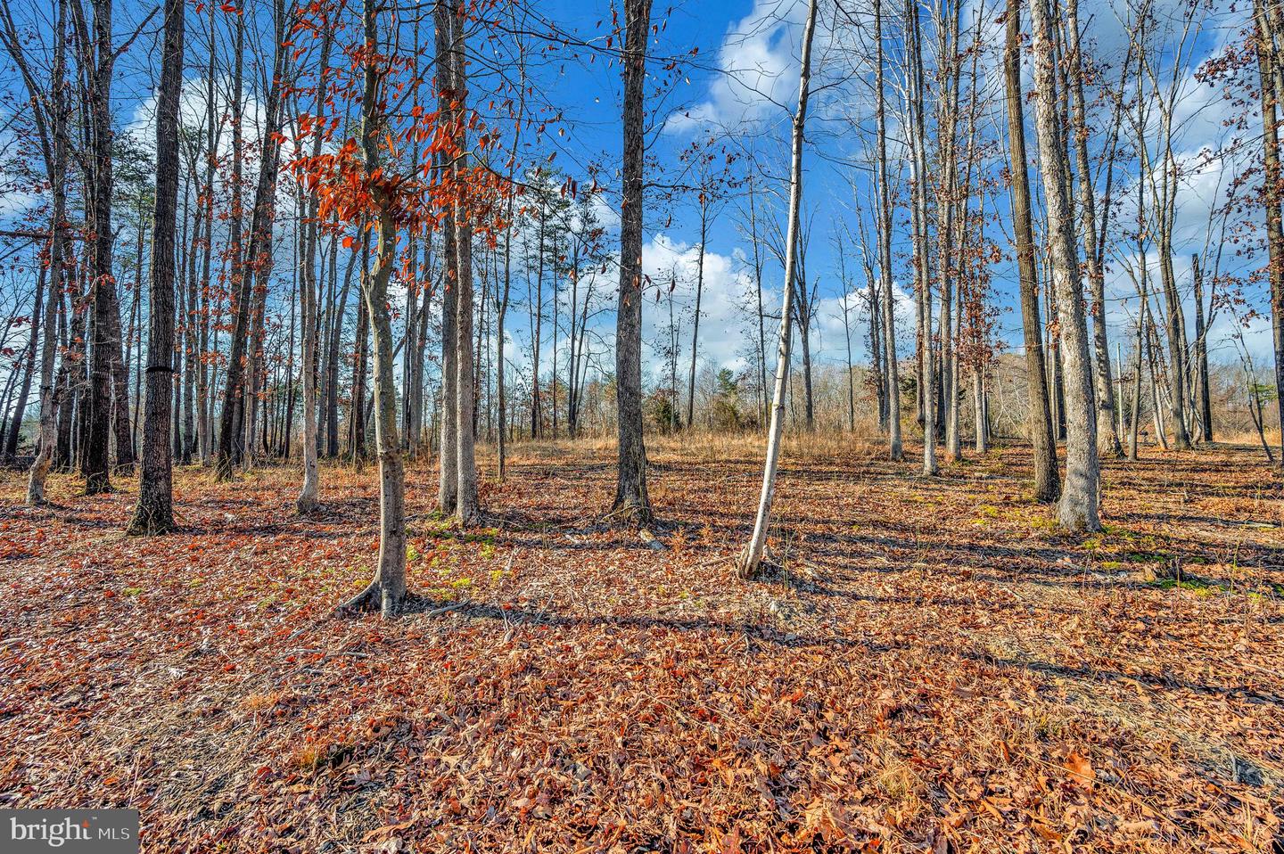 26399 ORANGE SPRINGS RD, UNIONVILLE, Virginia 22567, 3 Bedrooms Bedrooms, 5 Rooms Rooms,2 BathroomsBathrooms,Residential,For sale,26399 ORANGE SPRINGS RD,VAOR2013174 MLS # VAOR2013174