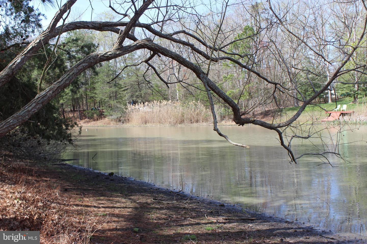 1856 CAPTAINS CORR, GREENBACKVILLE, Virginia 23356, ,Land,For sale,1856 CAPTAINS CORR,VAAC2002568 MLS # VAAC2002568