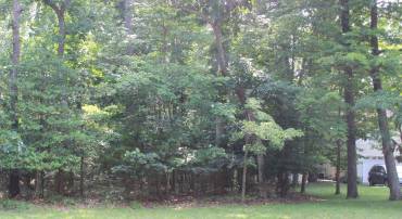 1856 CAPTAINS CORR, GREENBACKVILLE, Virginia 23356, ,Land,For sale,1856 CAPTAINS CORR,VAAC2002568 MLS # VAAC2002568
