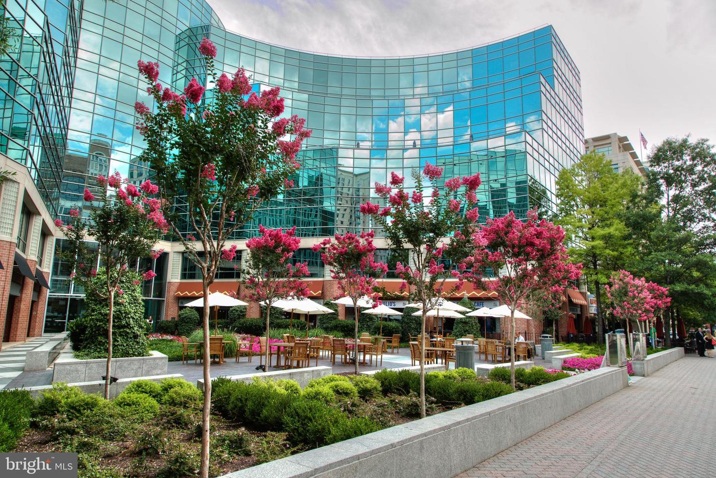 3901 6TH ST N #C, ARLINGTON, Virginia 22203, 2 Bedrooms Bedrooms, ,2 BathroomsBathrooms,Residential,For sale,3901 6TH ST N #C,VAAR2068078 MLS # VAAR2068078