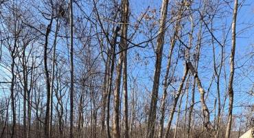 LOT 8 CROW DR, WINCHESTER, Virginia 22602, ,Land,For sale,LOT 8 CROW DR,VAFV2038344 MLS # VAFV2038344