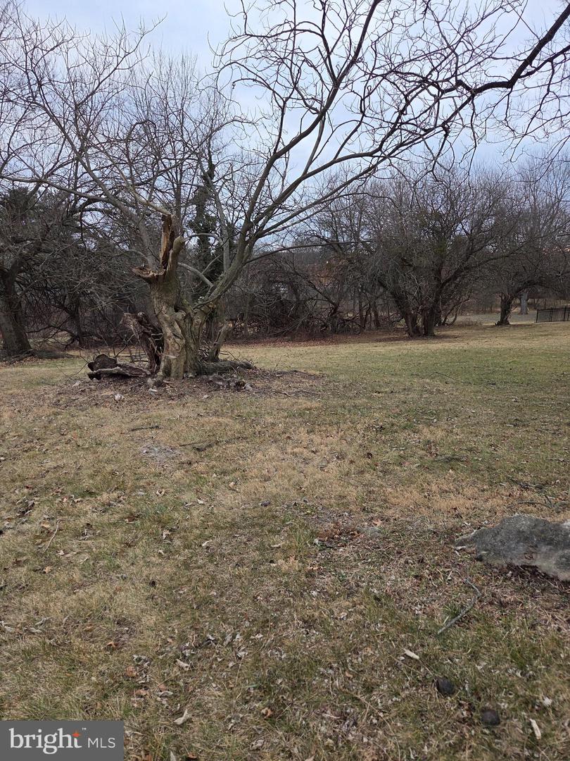 1001 WHITTIER AVE, WINCHESTER, Virginia 22601, ,Land,For sale,1001 WHITTIER AVE,VAWI2009796 MLS # VAWI2009796