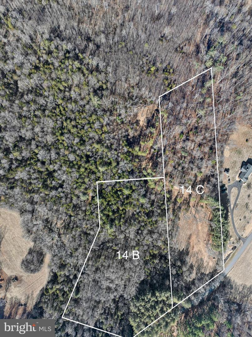 OAKLAND RD, REVA, Virginia 22735, ,Land,For sale,OAKLAND RD,VACU2012526 MLS # VACU2012526