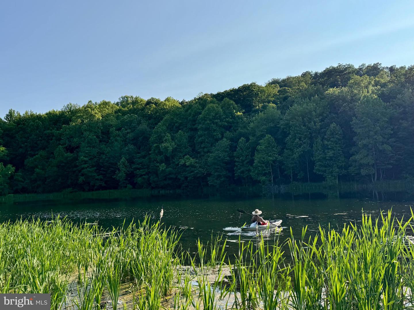 198 HEIM JONES RD, LINDEN, Virginia 22642, 3 Bedrooms Bedrooms, 5 Rooms Rooms,2 BathroomsBathrooms,Residential,For sale,198 HEIM JONES RD,VAWR2013216 MLS # VAWR2013216