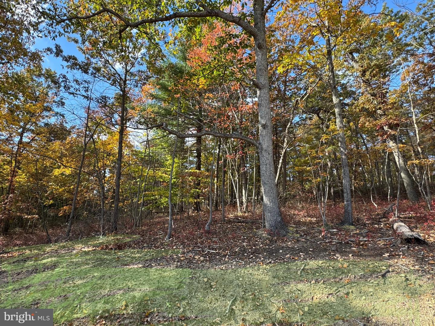 198 HEIM JONES RD, LINDEN, Virginia 22642, 3 Bedrooms Bedrooms, 5 Rooms Rooms,2 BathroomsBathrooms,Residential,For sale,198 HEIM JONES RD,VAWR2013216 MLS # VAWR2013216