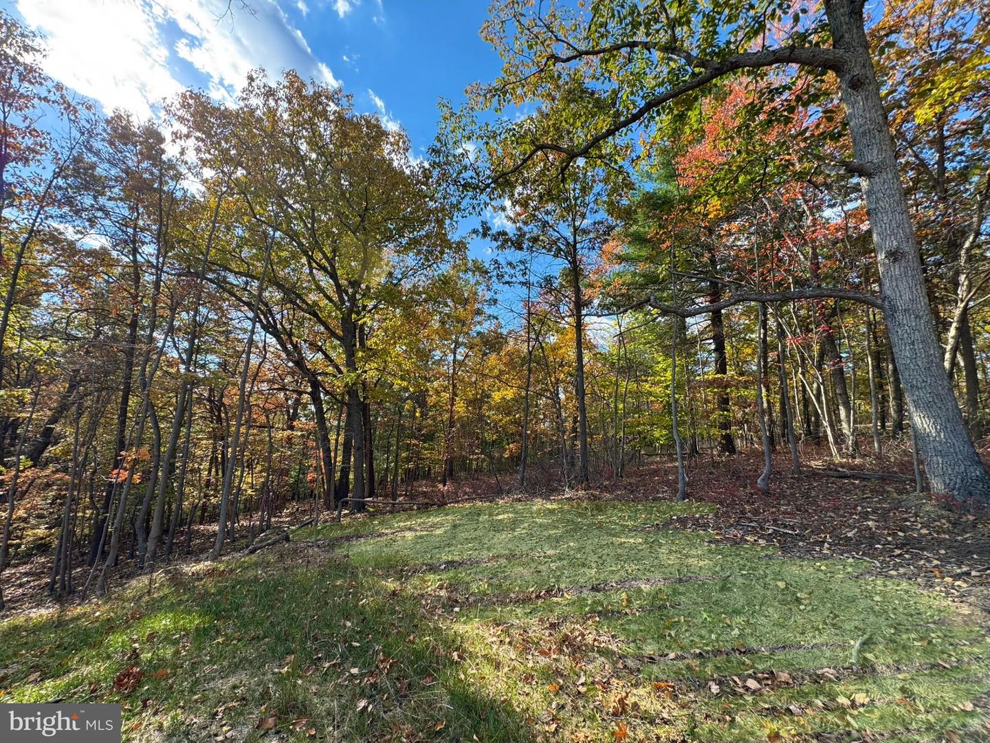 198 HEIM JONES RD, LINDEN, Virginia 22642, 3 Bedrooms Bedrooms, 5 Rooms Rooms,2 BathroomsBathrooms,Residential,For sale,198 HEIM JONES RD,VAWR2013216 MLS # VAWR2013216