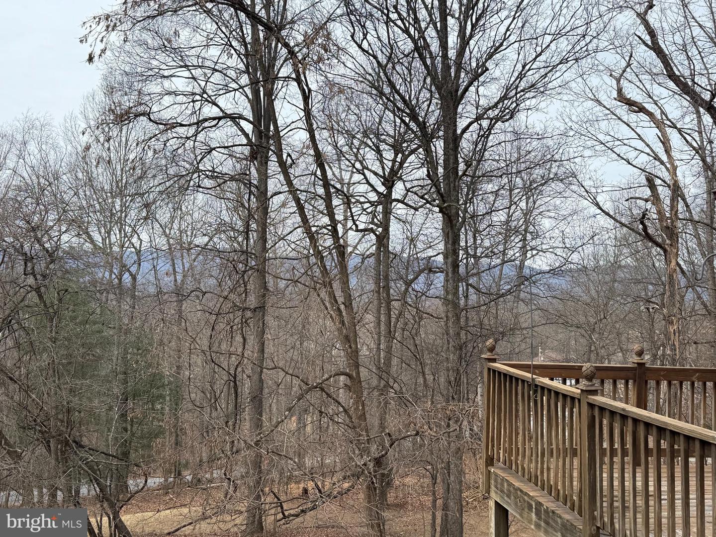 487 SKYLINE FOREST DR, FRONT ROYAL, Virginia 22630, 4 Bedrooms Bedrooms, ,3 BathroomsBathrooms,Residential,For sale,487 SKYLINE FOREST DR,VAWR2013218 MLS # VAWR2013218