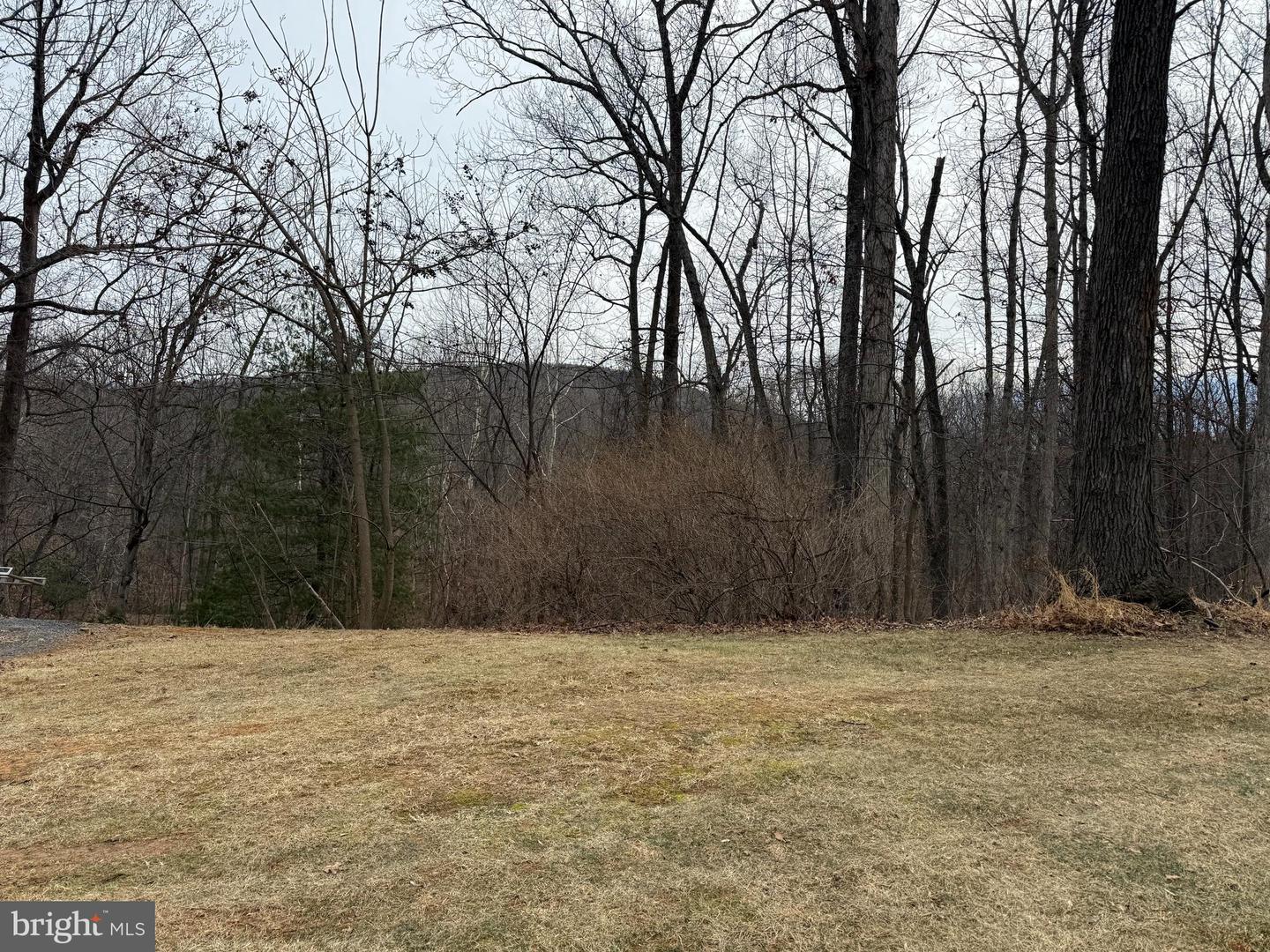 487 SKYLINE FOREST DR, FRONT ROYAL, Virginia 22630, 4 Bedrooms Bedrooms, ,3 BathroomsBathrooms,Residential,For sale,487 SKYLINE FOREST DR,VAWR2013218 MLS # VAWR2013218