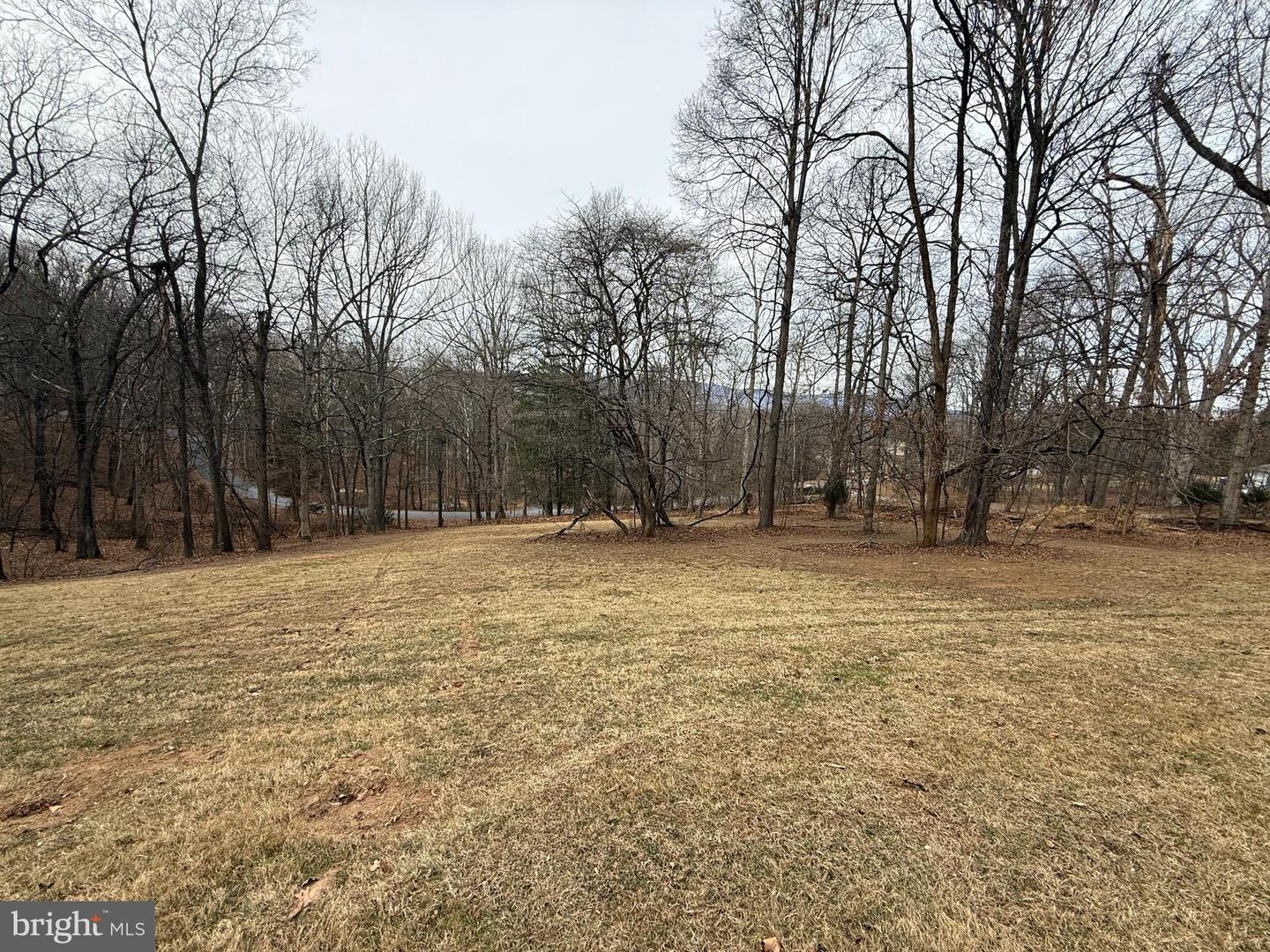 487 SKYLINE FOREST DR, FRONT ROYAL, Virginia 22630, 4 Bedrooms Bedrooms, ,3 BathroomsBathrooms,Residential,For sale,487 SKYLINE FOREST DR,VAWR2013218 MLS # VAWR2013218