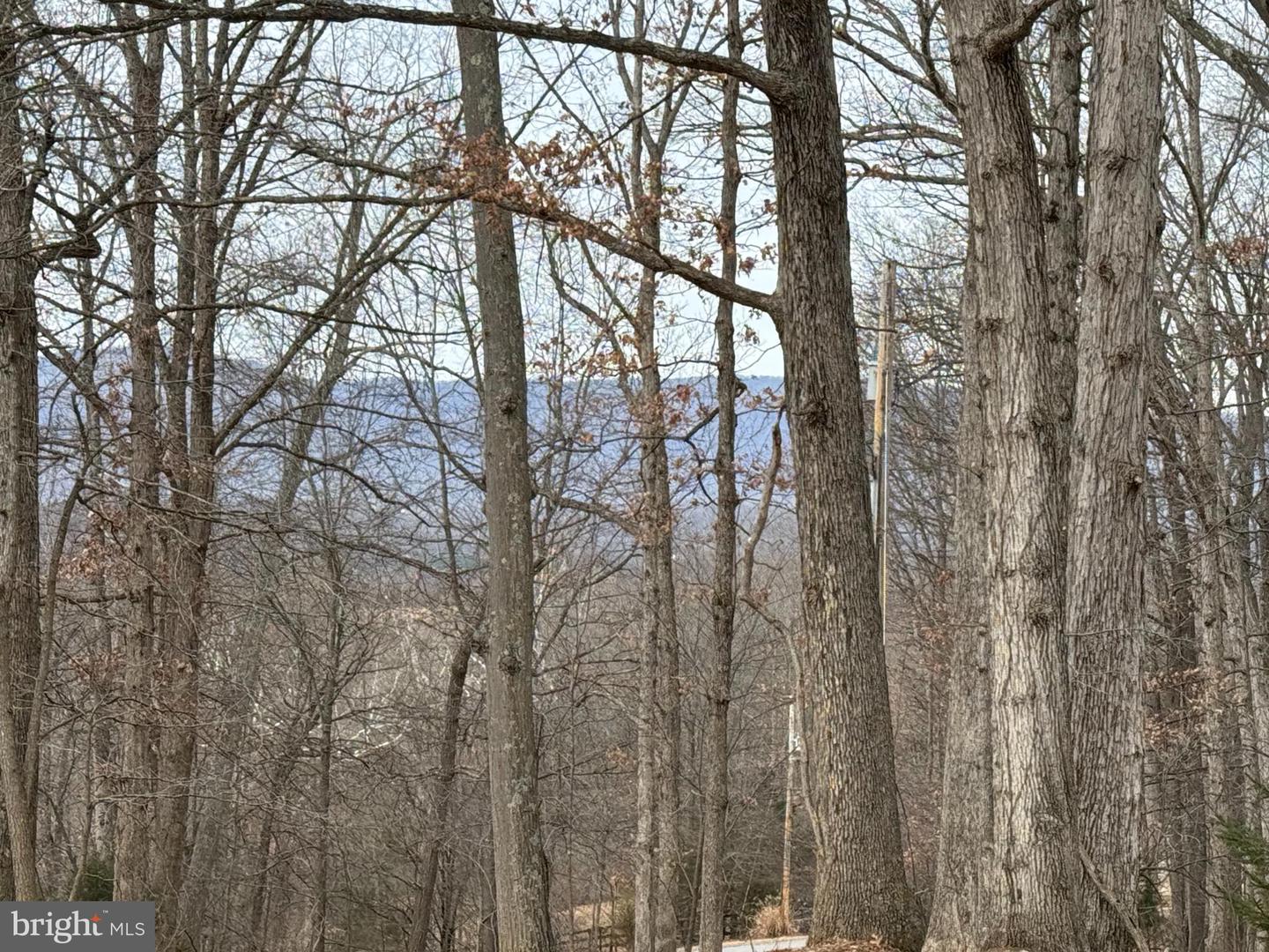 487 SKYLINE FOREST DR, FRONT ROYAL, Virginia 22630, 4 Bedrooms Bedrooms, ,3 BathroomsBathrooms,Residential,For sale,487 SKYLINE FOREST DR,VAWR2013218 MLS # VAWR2013218