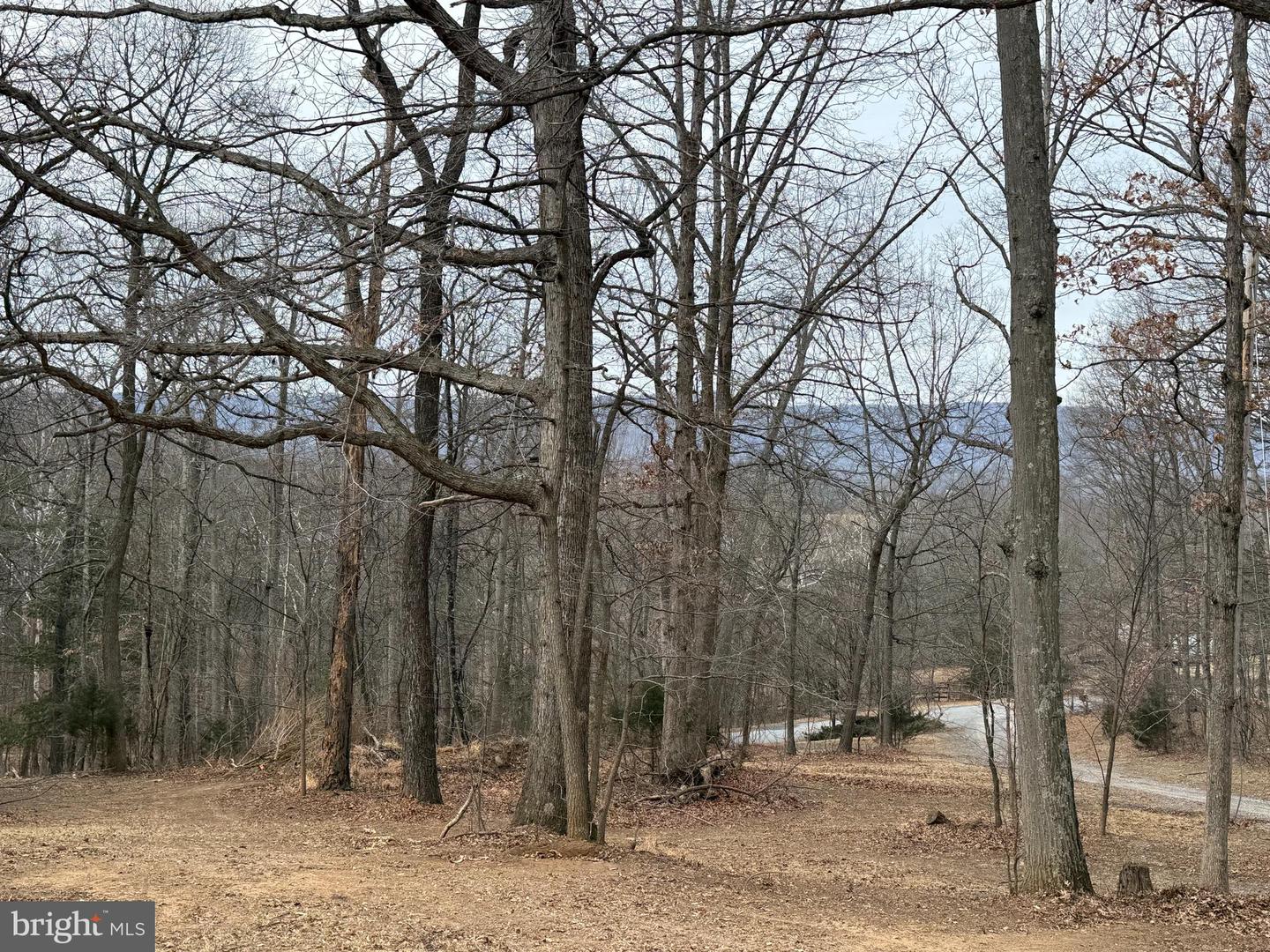 487 SKYLINE FOREST DR, FRONT ROYAL, Virginia 22630, 4 Bedrooms Bedrooms, ,3 BathroomsBathrooms,Residential,For sale,487 SKYLINE FOREST DR,VAWR2013218 MLS # VAWR2013218