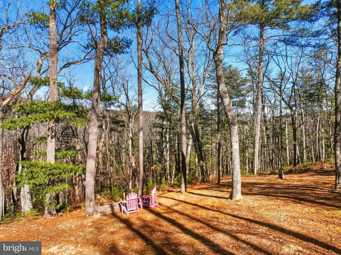 509 ALPINE WAY, MOUNT JACKSON, Virginia 22842, 3 Bedrooms Bedrooms, ,1 BathroomBathrooms,Residential,For sale,509 ALPINE WAY,VASH2013348 MLS # VASH2013348