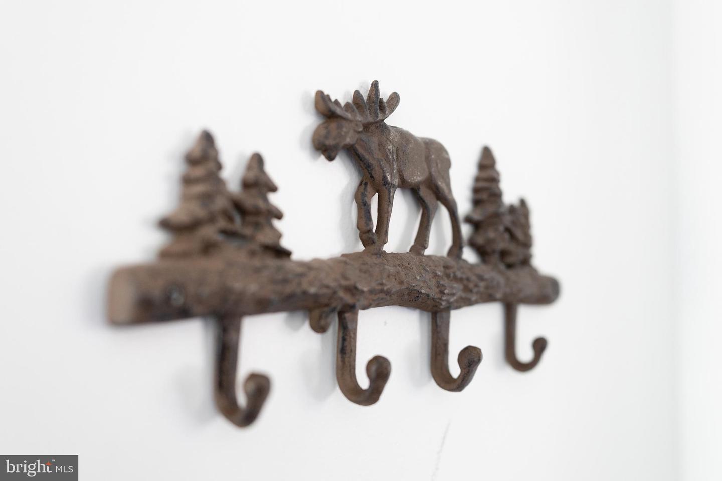 509 ALPINE WAY, MOUNT JACKSON, Virginia 22842, 3 Bedrooms Bedrooms, ,1 BathroomBathrooms,Residential,For sale,509 ALPINE WAY,VASH2013348 MLS # VASH2013348