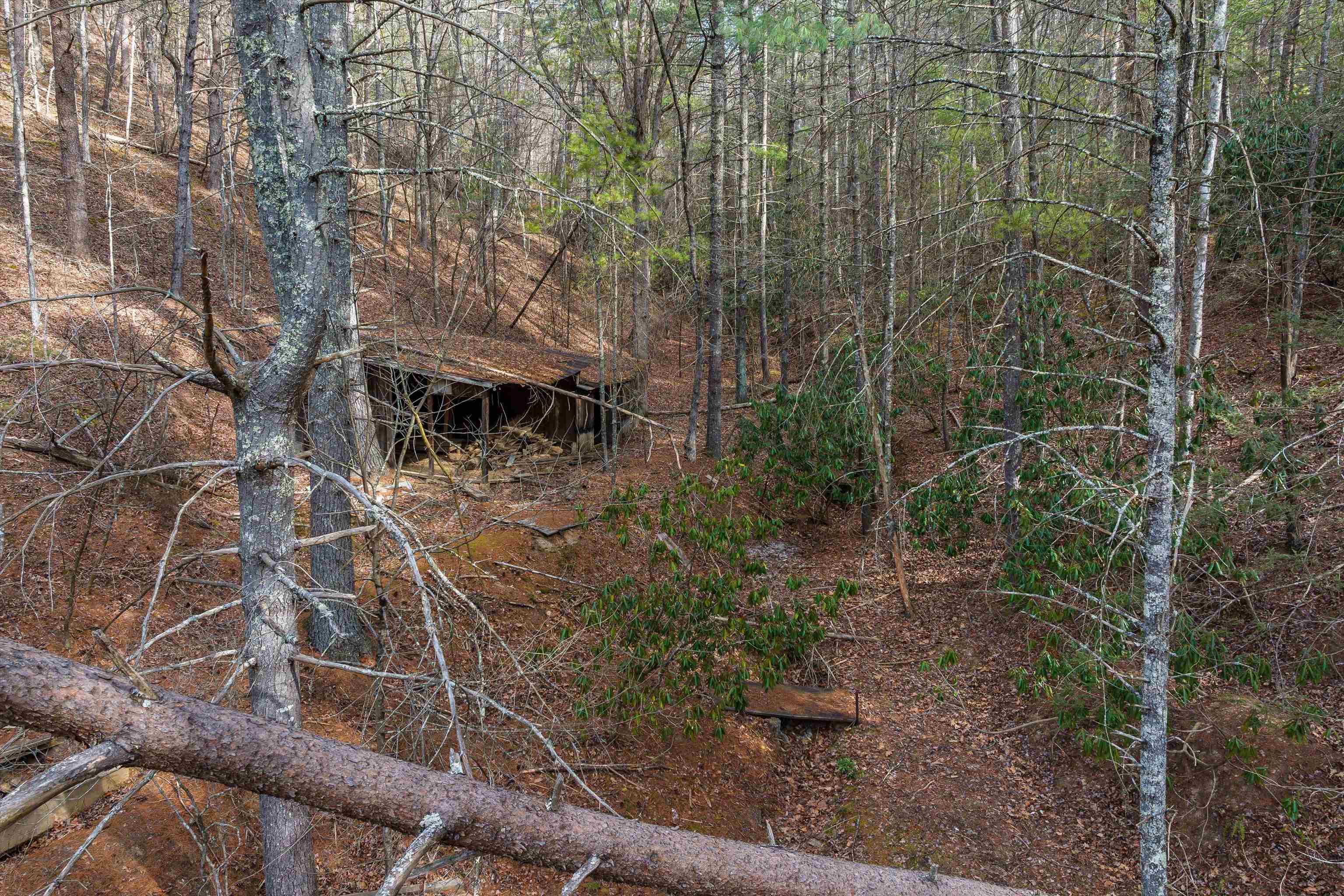 595 DEERFIELD VALLEY RD, WEST AUGUSTA, Virginia 24485, ,Farm,595 DEERFIELD VALLEY RD,672787 MLS # 672787