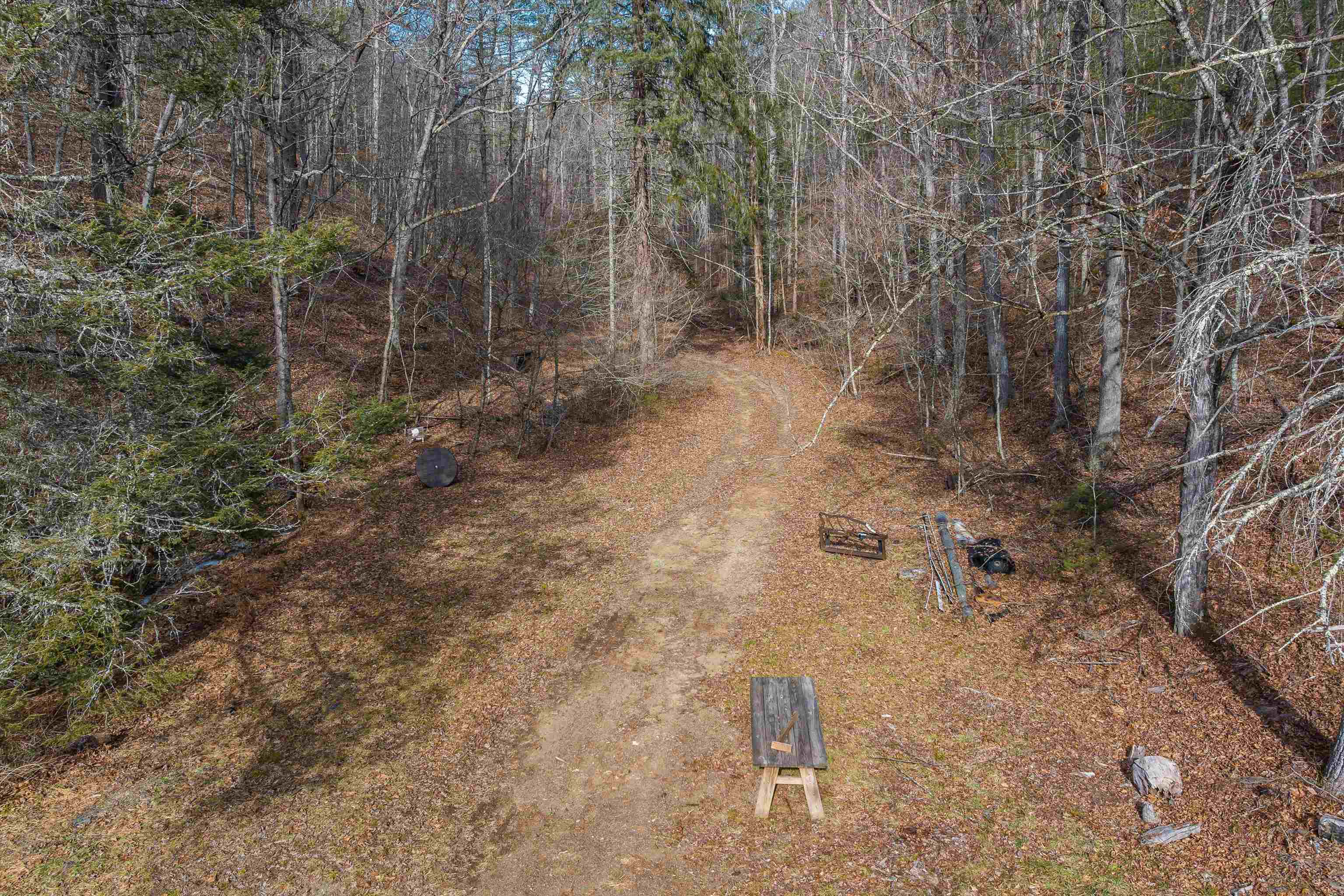 595 DEERFIELD VALLEY RD, WEST AUGUSTA, Virginia 24485, ,Farm,595 DEERFIELD VALLEY RD,672787 MLS # 672787