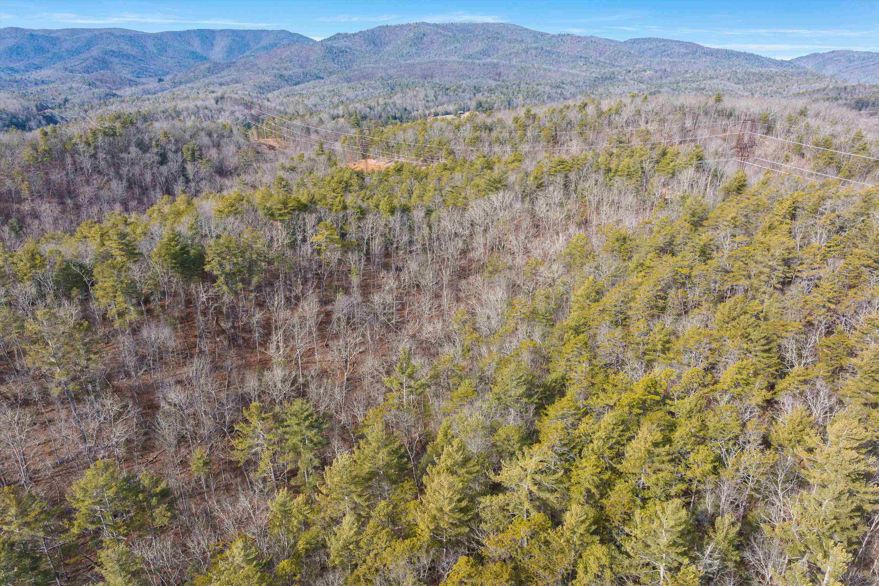 595 DEERFIELD VALLEY RD, WEST AUGUSTA, Virginia 24485, 3 Bedrooms Bedrooms, ,Residential,595 DEERFIELD VALLEY RD,672788 MLS # 672788