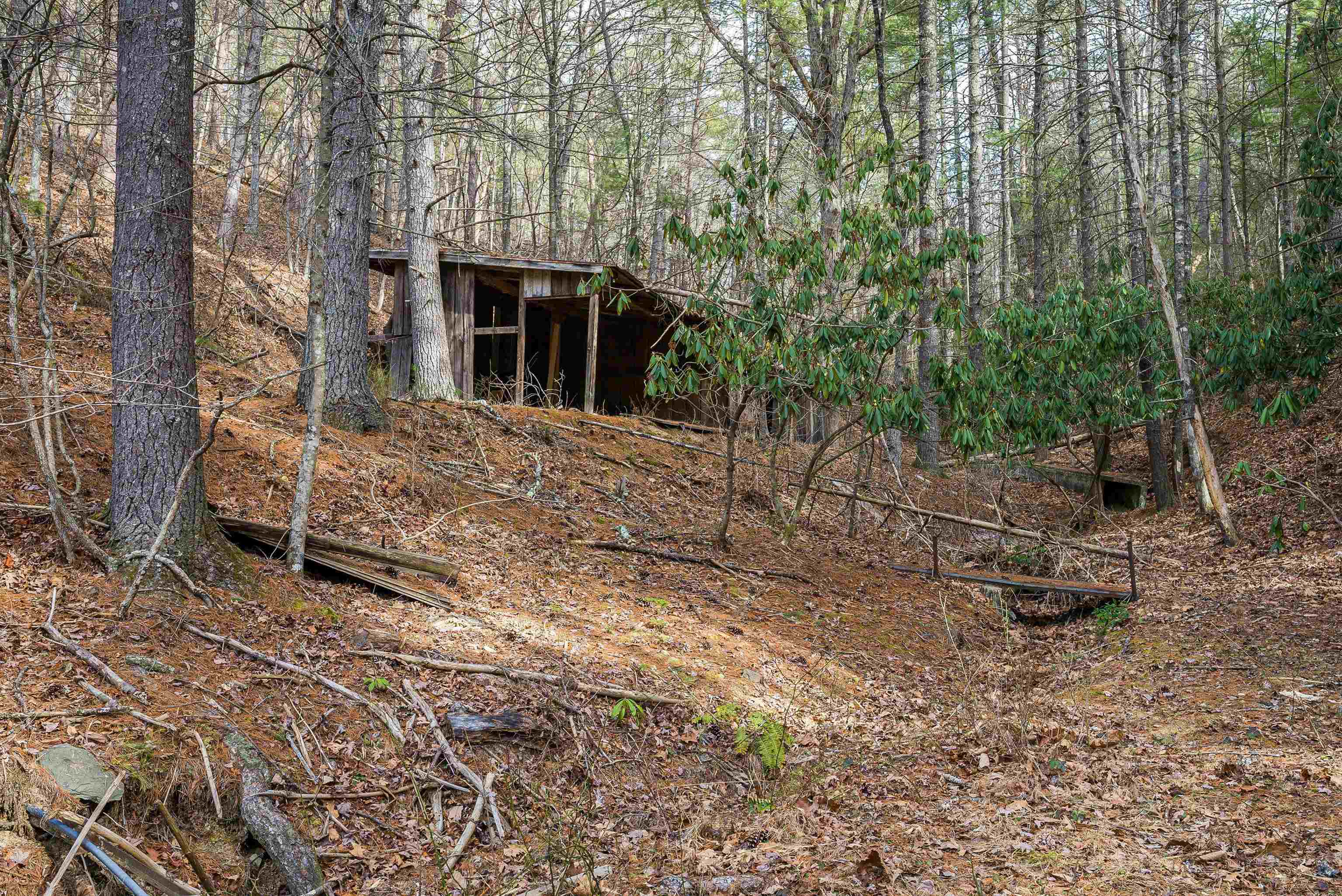 595 DEERFIELD VALLEY RD, WEST AUGUSTA, Virginia 24485, 3 Bedrooms Bedrooms, ,Residential,595 DEERFIELD VALLEY RD,672788 MLS # 672788