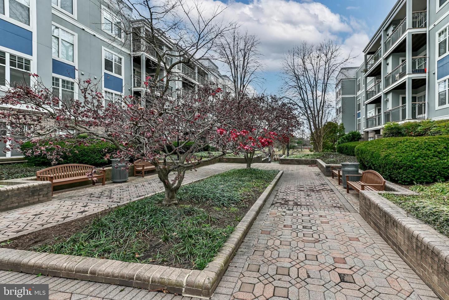 5573 SEMINARY RD #115, FALLS CHURCH, Virginia 22041, 1 Bedroom Bedrooms, 4 Rooms Rooms,1 BathroomBathrooms,Residential,For sale,5573 SEMINARY RD #115,VAFX2281708 MLS # VAFX2281708