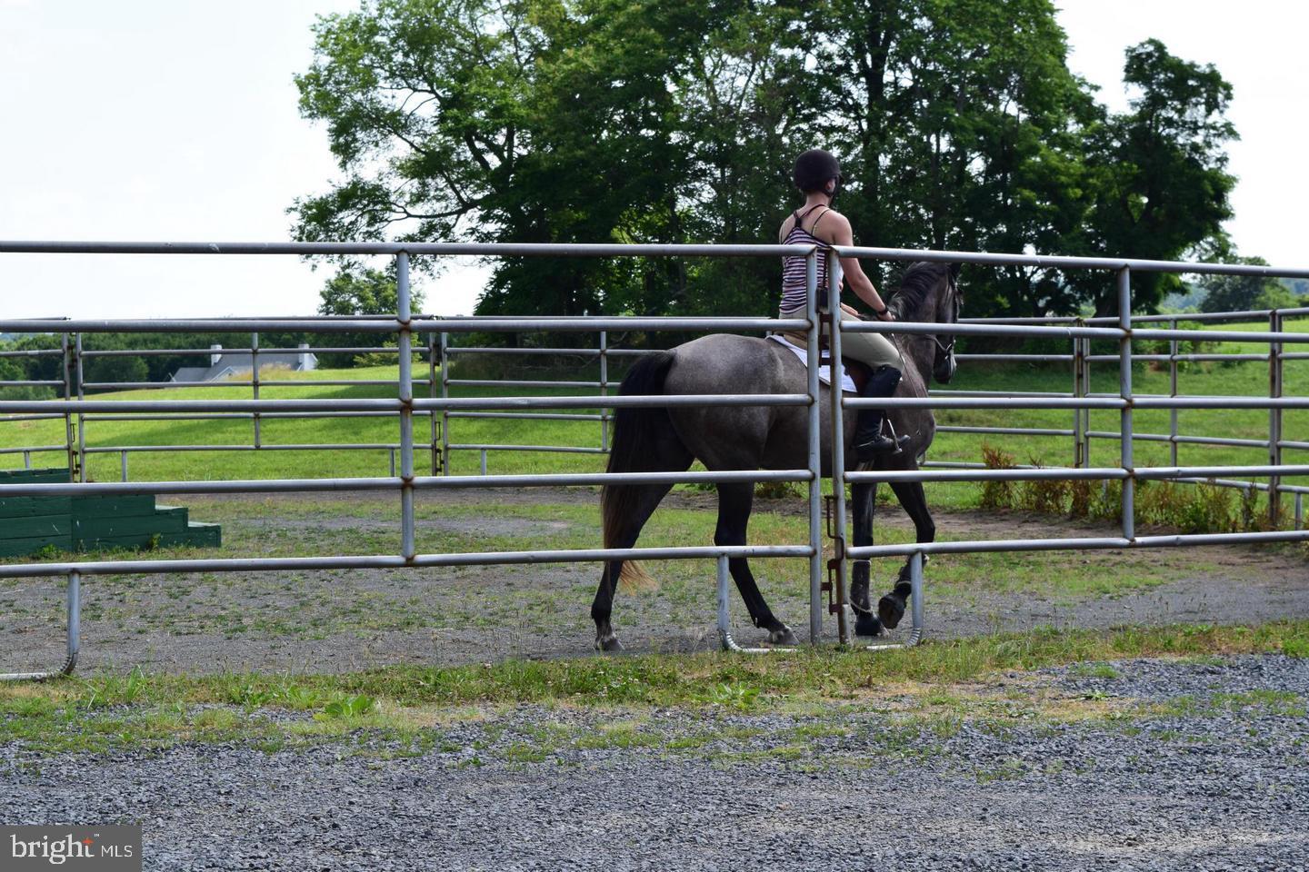 3959 COBBLER MOUNTAIN RD, DELAPLANE, Virginia 20144, 3 Bedrooms Bedrooms, ,2 BathroomsBathrooms,Farm,For sale,3959 COBBLER MOUNTAIN RD,VAFQ2020262 MLS # VAFQ2020262
