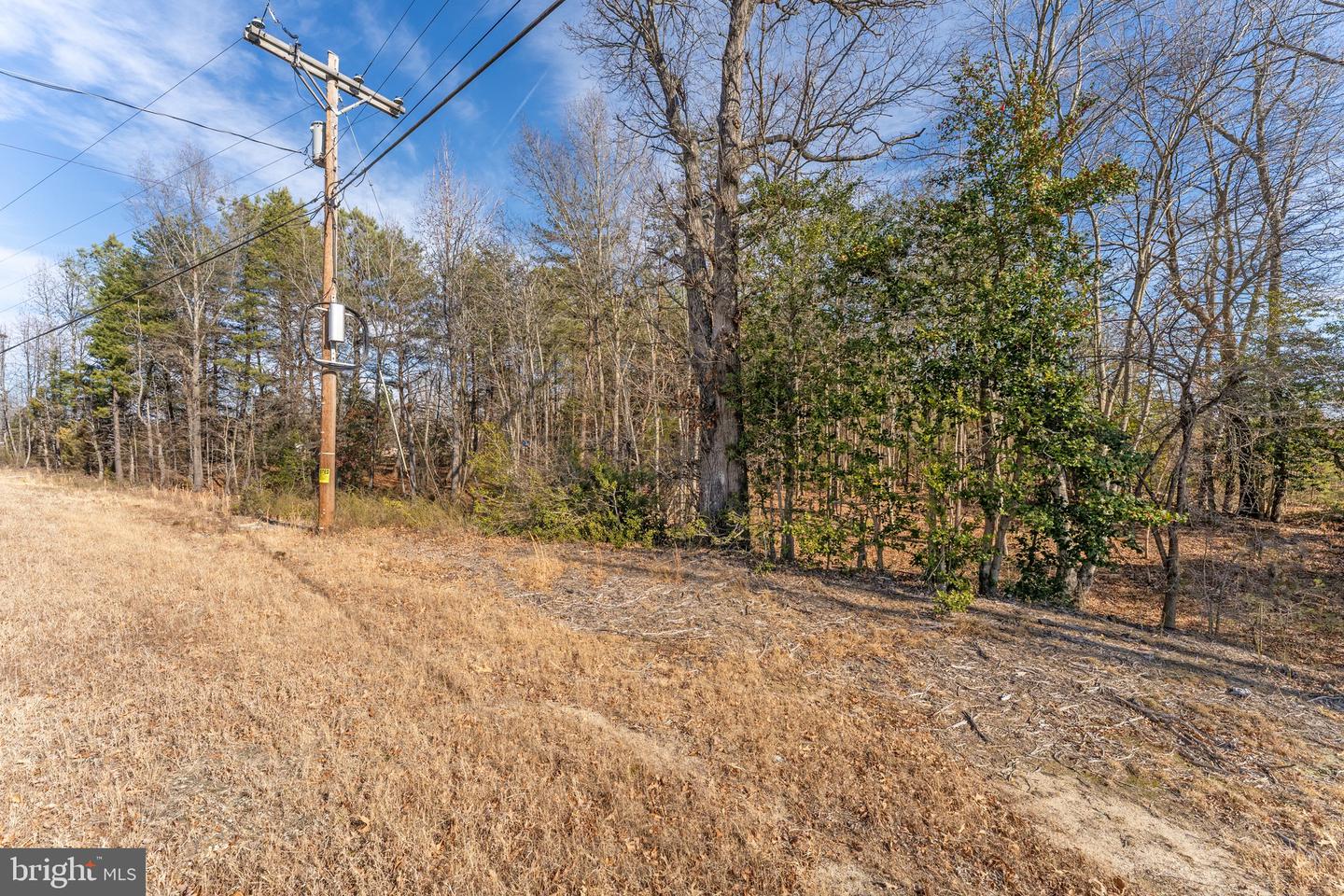JAMES MADISON PKWY, KING GEORGE, Virginia 22485, ,Land,For sale,JAMES MADISON PKWY,VAKG2007538 MLS # VAKG2007538