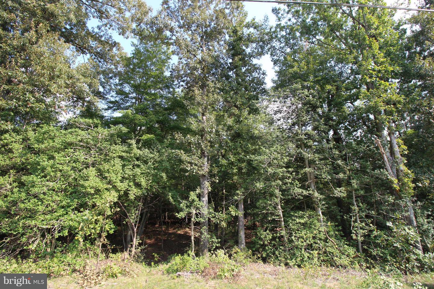 JAMES MADISON PKWY, KING GEORGE, Virginia 22485, ,Land,For sale,JAMES MADISON PKWY,VAKG2007538 MLS # VAKG2007538