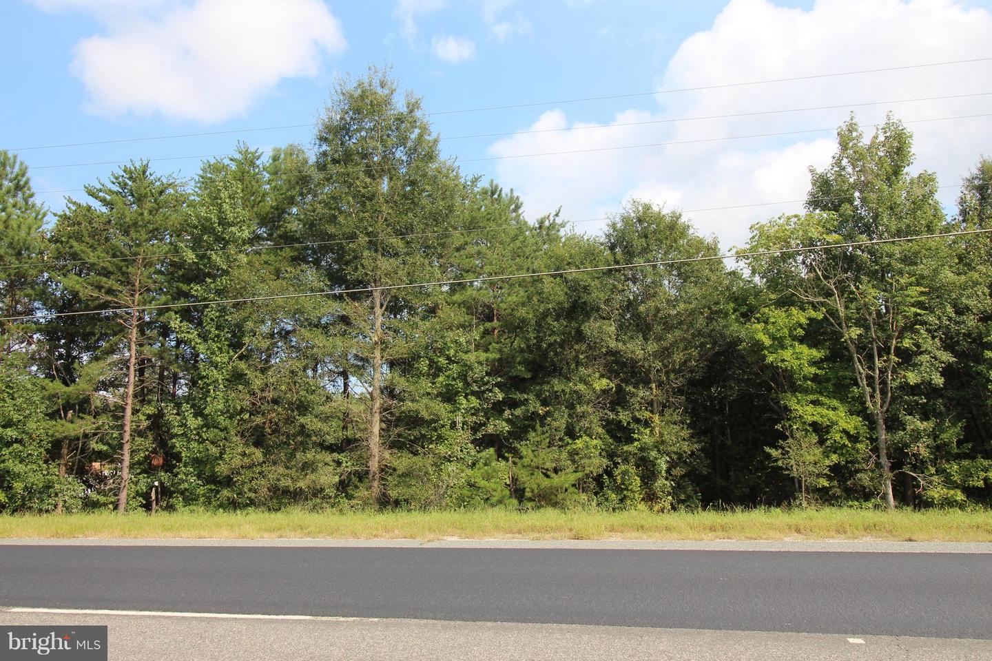 JAMES MADISON PKWY, KING GEORGE, Virginia 22485, ,Land,For sale,JAMES MADISON PKWY,VAKG2007538 MLS # VAKG2007538